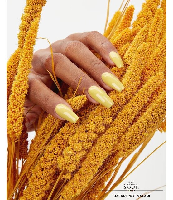 JGP Safari Not Safari 14ml/0.5oz