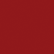 BO.NAIL Dip #002 Little Red Tips