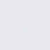 BO.NAIL Dip #026 Clear