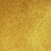 BO.NAIL Soakable Gelpolish #106 Go 4 Gold (15ml)