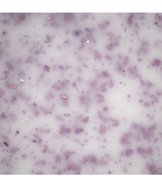 BO Soakable Gel Polish #164 Fairywren 7ml