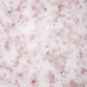 BO Soakable Gel Polish #165 Linnet 7ml