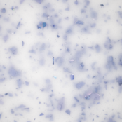 BO Soakable Gel Polish #168 Starling 7ml