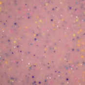 BO Soakable Gel Polish #176 Confetti 7ml