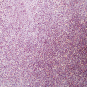 BO Soakable Gel Polish #198 Cinderella 7ml