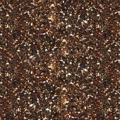 Soak Off Gel Polish #145 Wood Fairy (15ml)