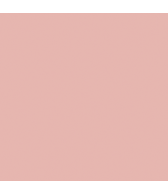 Brush Builder - Peach Pink (15ml)