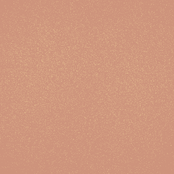 Brush Builder - Glitter Warm Nude (15ml)