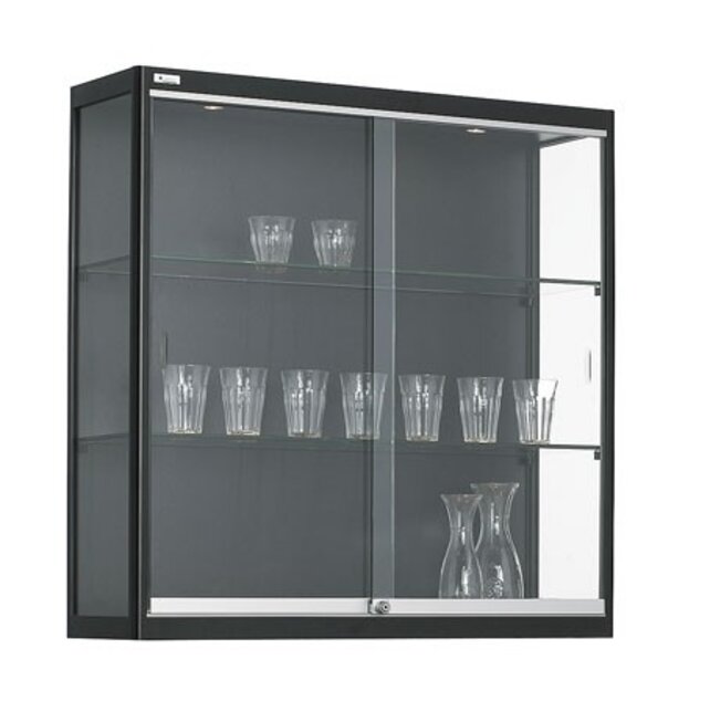 Wandvitrine 100x100x30cm Wandvitrine 100x100x30cm