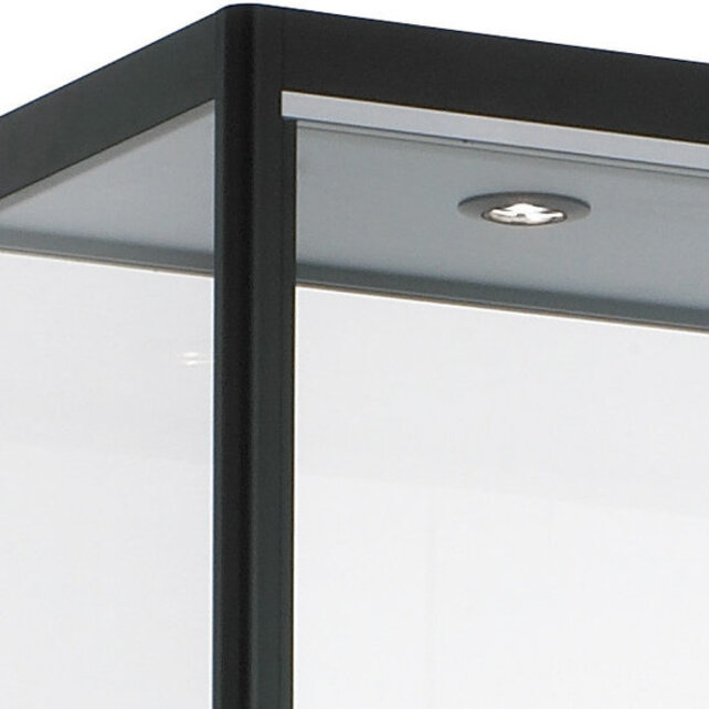 Wandvitrine 100x100x30cm Wandvitrine 100x100x30cm