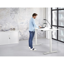 Elektrisch Bureau KT Business  (huur)