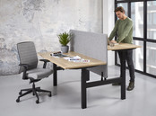 Bureauscherm Duo Wolvilt Bureauscherm Duo Wolvilt