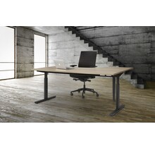 Basic Wingbureau 160x120cm