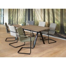 Vergader- bureautafel V-poot 160x80cm