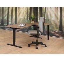 Essential Wingbureau 160x120cm