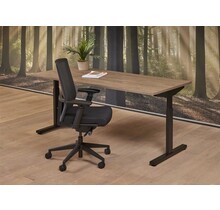 Basic Bureau 160x80cm