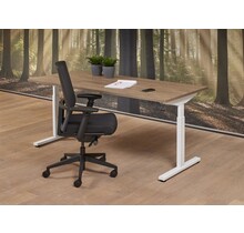 Basic Bureau 120x80cm