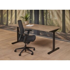Bureau Easy 180x80cm