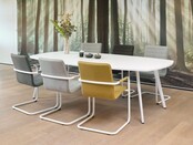 Solid Vergadertafel ovaal 240x120 cm