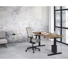 Elektrisch bureau KT Premium 120x80cm