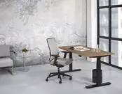 Thuiswerkplek - Premium