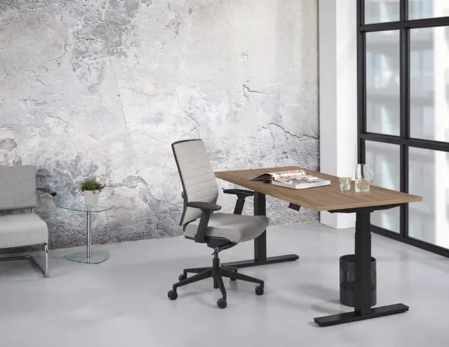 Thuiswerkplek - Premium