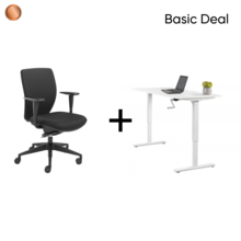 Thuiswerkplek - Basic