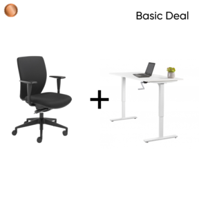 Thuiswerkplek - Basic