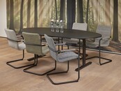 Basic Vergadertafel Ellips 220x110