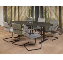 Basic Vergadertafel Ellips 220x110