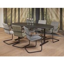 Basic Vergadertafel Ellips 220x110