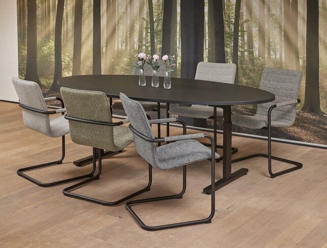 Basic Vergadertafel Ellips 220x110