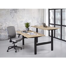 Elektrisch Duo Bureau KT Premium 160x80cm