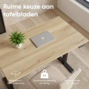 Elektrisch bureau KT Premium 120x80cm