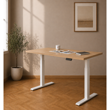 Elektrisch Bureau KT Budget 160x80cm