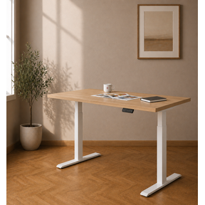 Elektrisch Bureau KT Budget 120x80cm