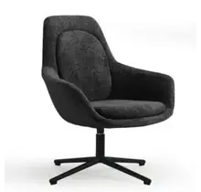 Luxe Fauteuil | Zwart