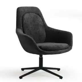 Luxe Fauteuil | Zwart