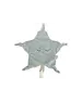 Jollein Jollein - Speendoekje Little Star - Sea Green