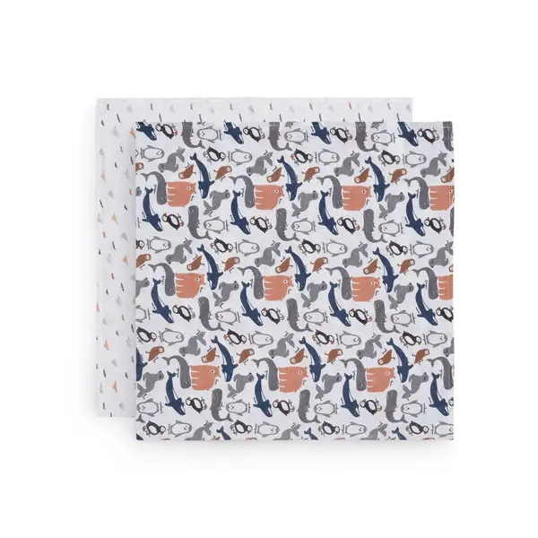 Jollein Jollein - Hydrofiele Doek 115x115cm - Polar - 2 Stuks