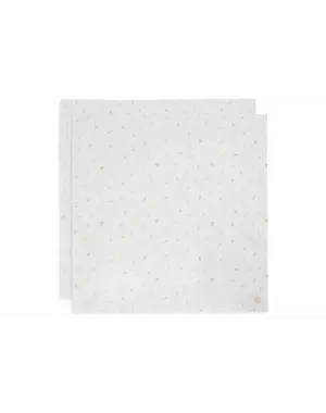 Jollein Jollein - Hydrofiele Doek 115x115cm - Lovely Birds - 2 Stuks