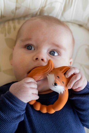 fox teether