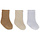 3 PACK POINTELLE SOCKS - TIGERS EYE/SAND/PEARL BLUE