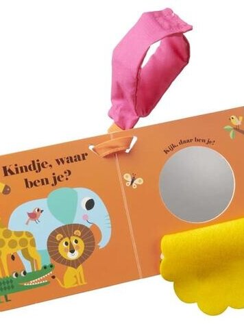 Buggyboekje - Leeuw, waar ben je?