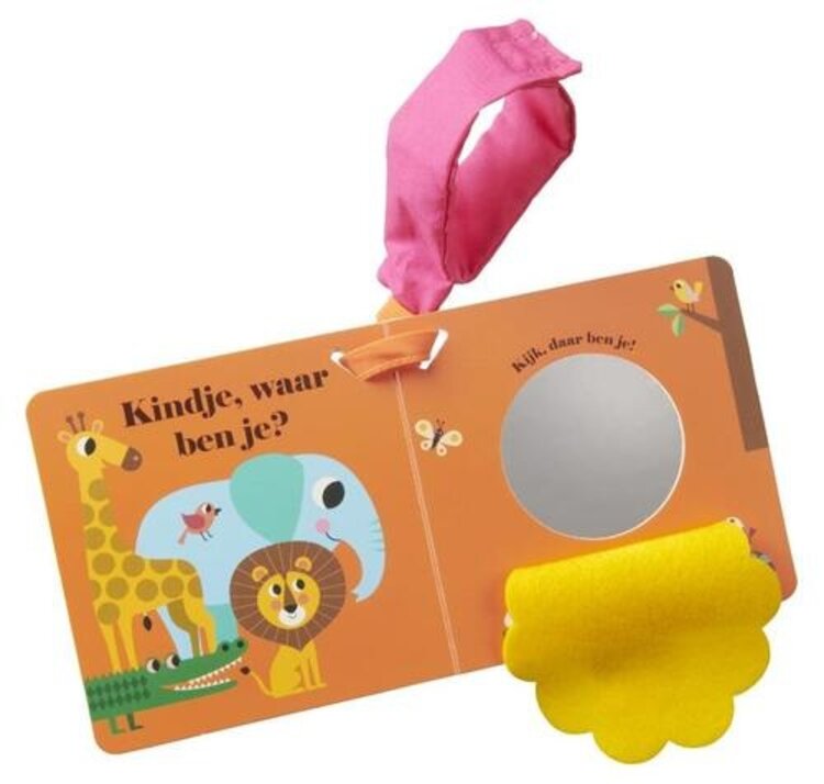 Buggyboekje - Leeuw, waar ben je?