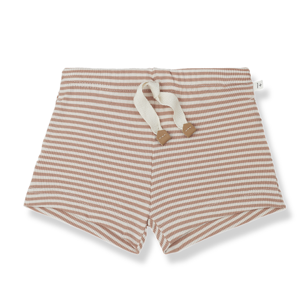 1+ in the family STELA bermuda apricot 1+ in the family STELA bermuda apricot