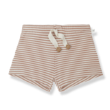 1+ in the family STELA bermuda apricot 1+ in the family STELA bermuda apricot