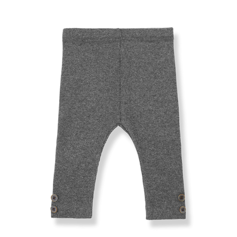 1+ in the family SINA grey leggings