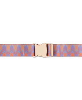 Repose AMS 78. Belt graphic blur