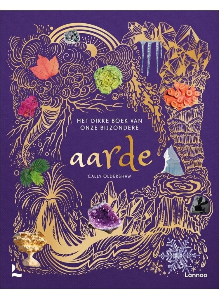 Het dikke boek van onze bijzondere aarde 9+